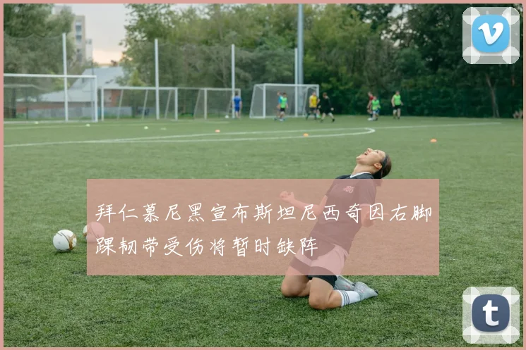 拜仁慕尼黑宣布斯坦尼西奇因右脚踝韧带受伤将暂时缺阵
