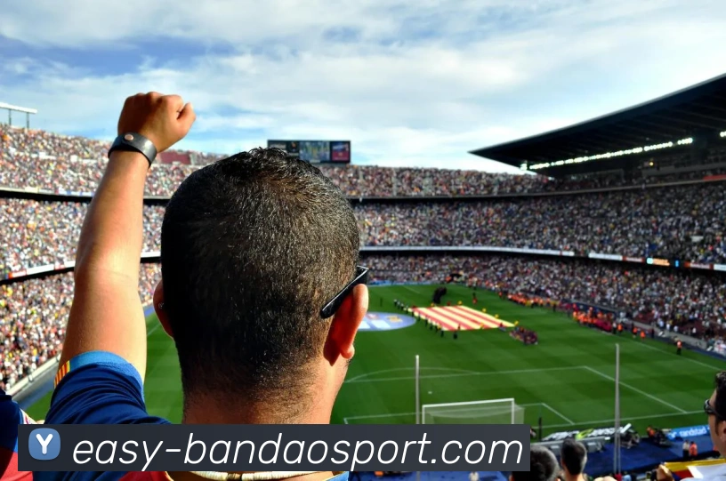 多媒体互动体验