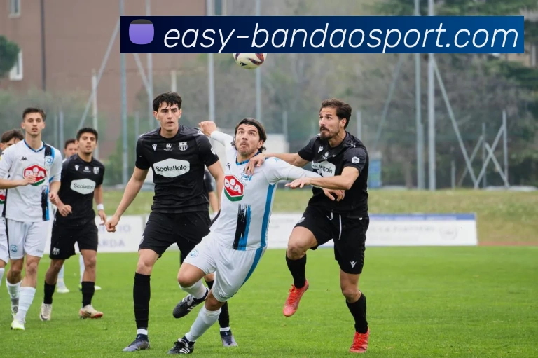 半岛体育APP 高清赛事图